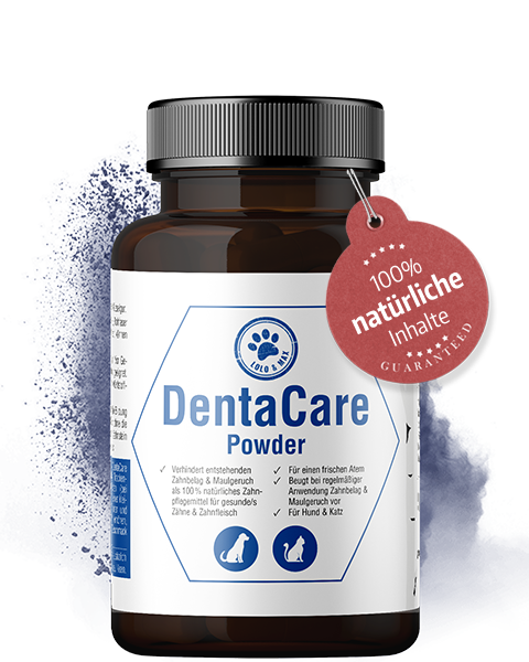 DentaCare Powder 150 g