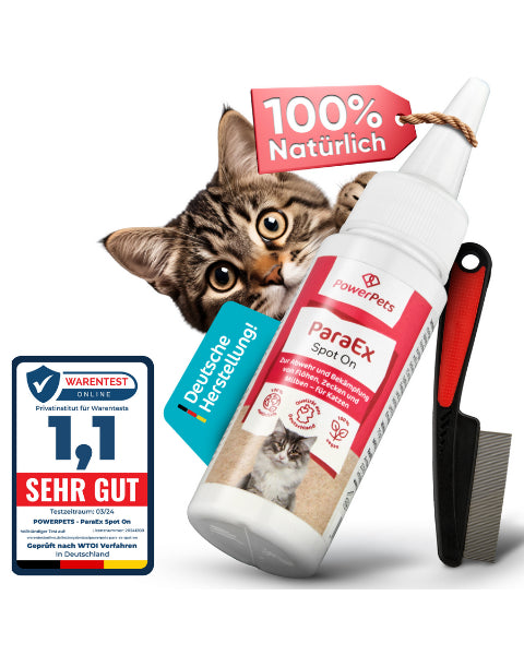 ParaEx - SpotOn für Katzen 40ml