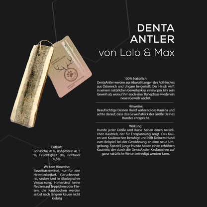 DentaAntler – Kauknochen aus Hirschgeweih für den Hund