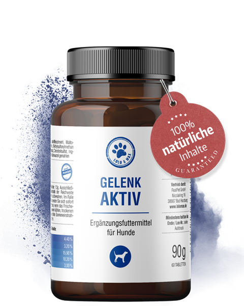 Gelenk Aktiv - 60 Tabletten - 90g