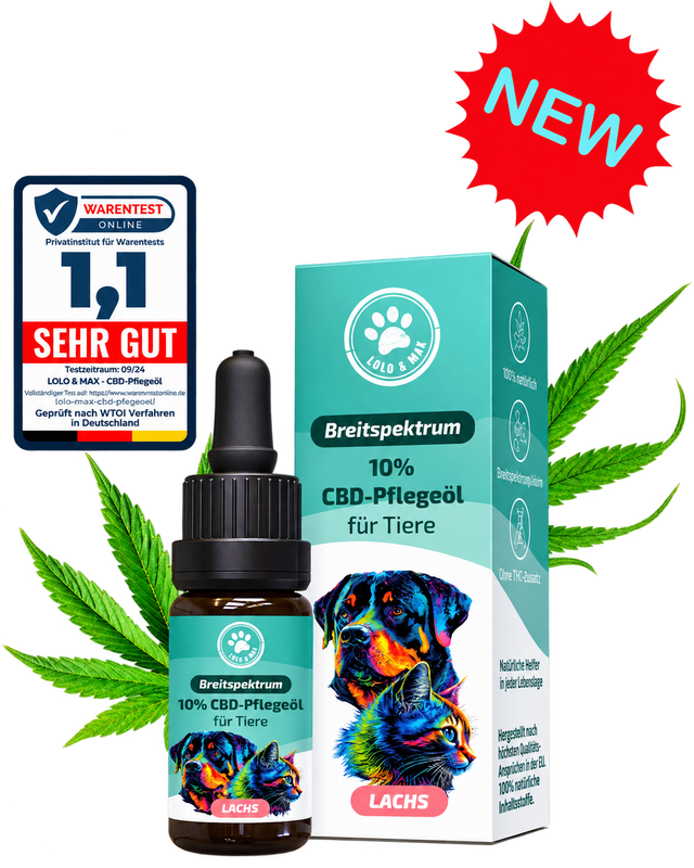 CBD Öl für Hunde & Katzen 10 % Lachs – 10 ml | Lolo & Max