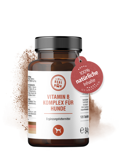 Vitamin B Komplex - 120 Tabletten - 240g