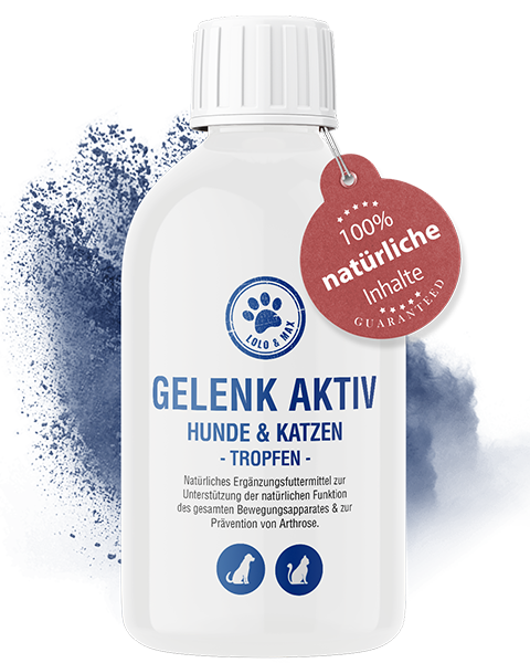 Gelenk Aktiv - Tropfen für Hunde und Katzen - 250ml